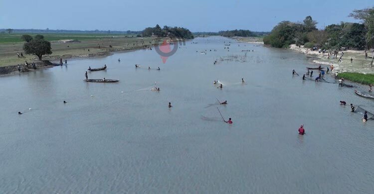 Fish worth Tk 10cr looted from 8 water bodies in 6 days