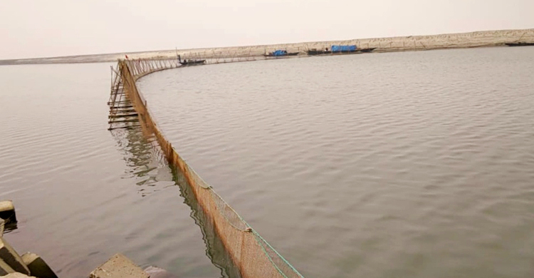 যমুনায় বেড়া দিয়ে মাছ শিকার