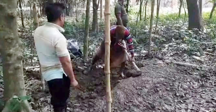 বোনের অভিযোগে সাড়ে তিন মাস পর কবর থেকে তোলা হলো ভাইয়ের মরদেহ