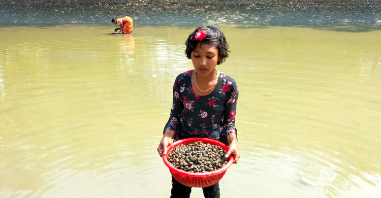যশোরের শিশু শ্রমিকদের সুরক্ষা ছাতা ঠাকুর ফাউন্ডেশন