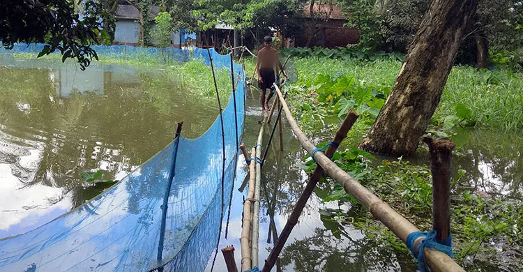 শতাধিক গ্রামে ভবদহের জলাবদ্ধতা, দুর্ভোগে লাখো মানুষ