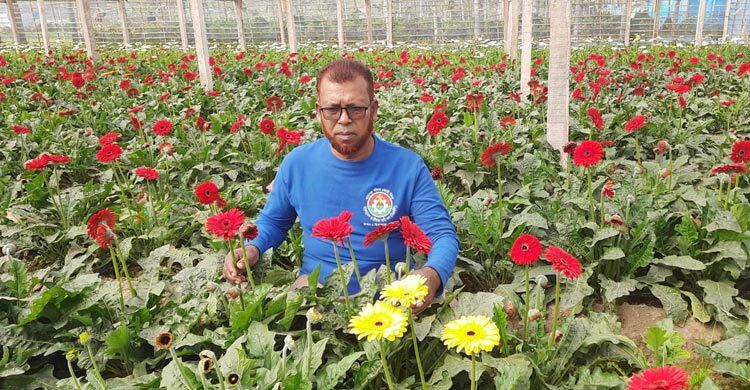 নির্বাচনে বাজার বন্ধ, গদখালির ফুলচাষিদের শত কোটি টাকার ক্ষতি