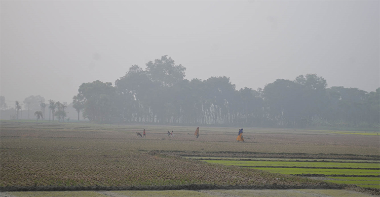 মৌসুমের সর্বনিম্ন তাপমাত্রা যশোরে, শৈত্যপ্রবাহে বিপর্যস্ত জীবন