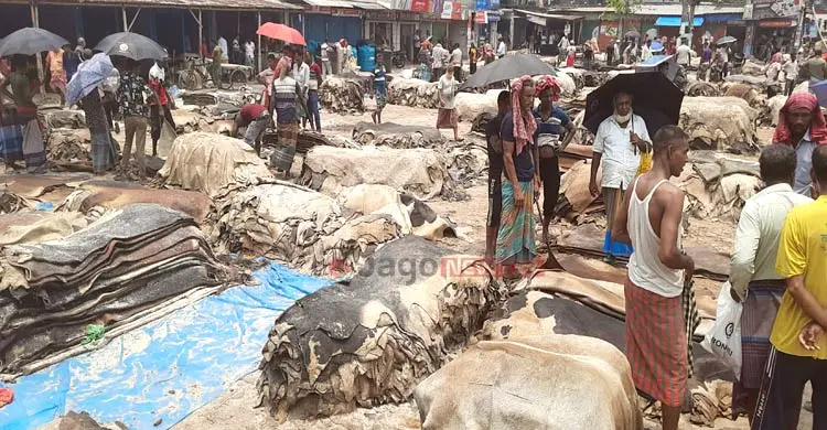 ‘করোনা আর পক্স’ ট্যাগে ধুঁকছে রাজারহাট চামড়ার হাট