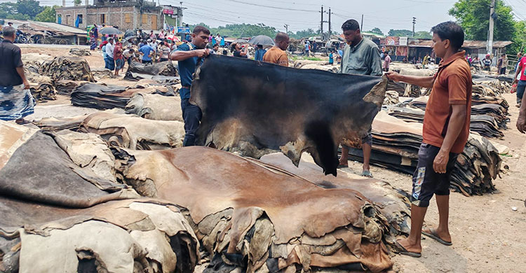 জমেনি রাজারহাট, লোকসানে চামড়া ব্যবসায়ীরা