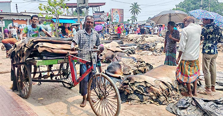 জমেনি রাজারহাট, লোকসানে চামড়া ব্যবসায়ীরা