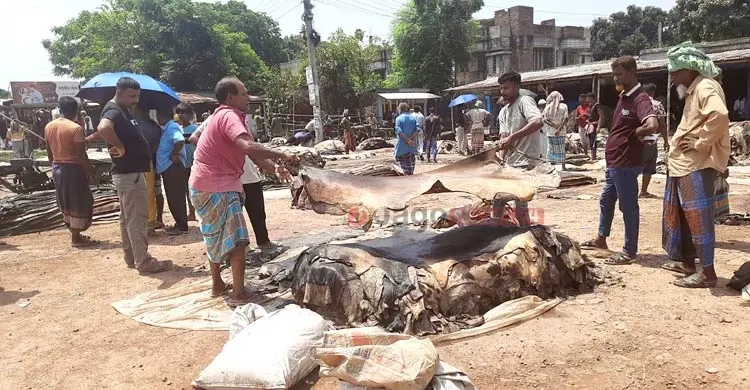 ‘করোনা আর পক্স’ ট্যাগে ধুঁকছে রাজারহাট চামড়ার হাট