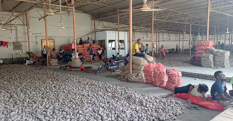 হিমাগারের আলু নিয়ে বিপাকে কৃষক-ব্যবসায়ী