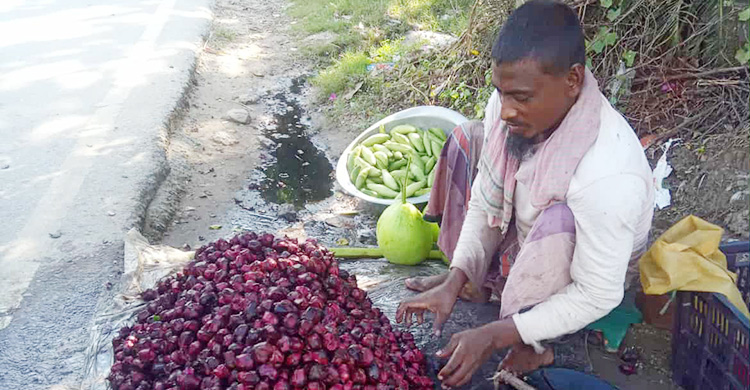 ৬ হাজার টাকা ব্যয় করে আয় ৬০ হাজার, কৃষকের নতুন আশা পানিফল