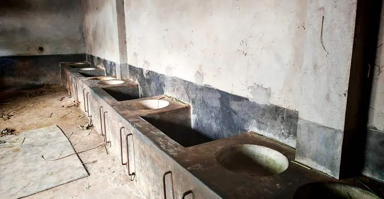 এক রাতে সৌদি প্রবাসীর বাড়ি থেকে ৫ গরু চুরি