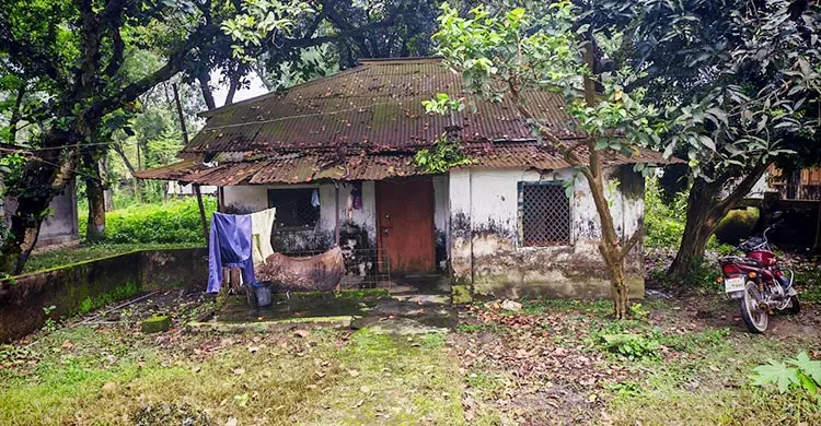 খুঁড়িয়ে চলছে জয়পুরহাটের সরকারি মুরগি খামার