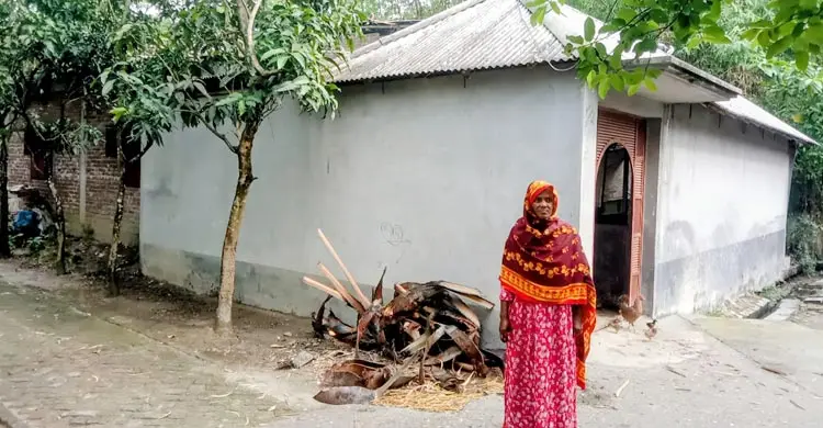গরুর খামারে কপাল খুলেছে নুন আনতে পান্তা ফুরানো ছালেমার