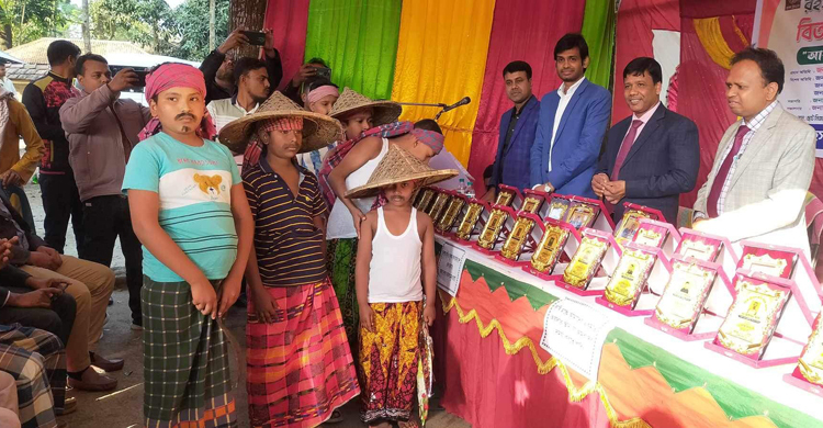 শার্শায় বিশেষ সম্মাননা পেলেন ১৫ কৃষক