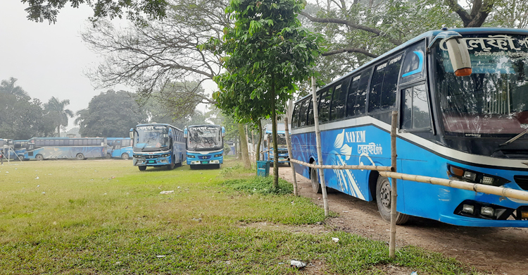 জাবিতে এখনো আটকে আছে সেলফি পরিবহনের ১৬ বাস