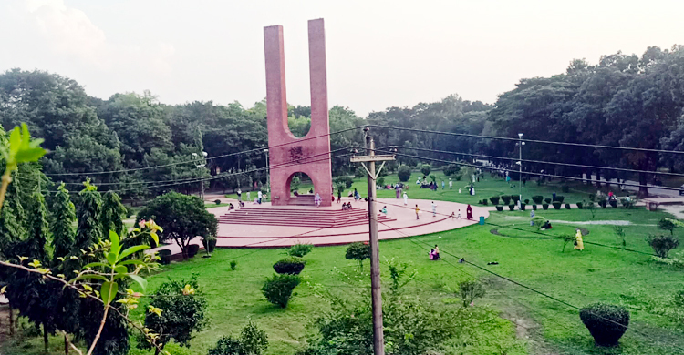 জাবিতে চলছে রাজা-রানি উৎসব