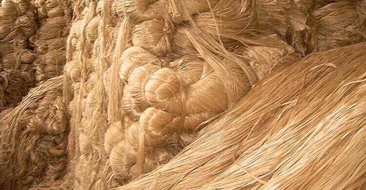 কাঁচাপাটের সংকট, রপ্তানি বন্ধ চান ব্যবসায়ীরা