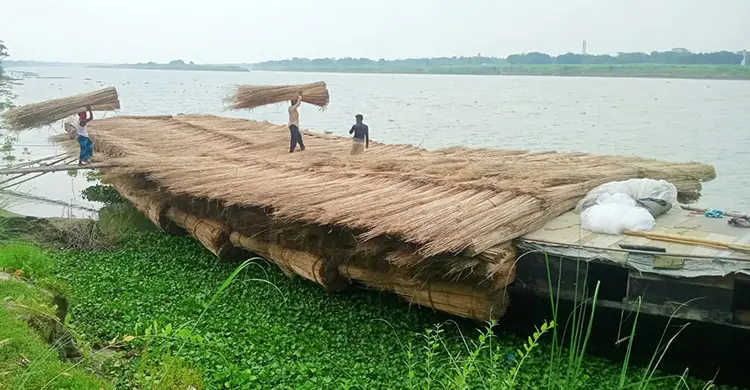 অবহেলার পাটকাঠিতে এখন লাখ টাকার ব্যবসা