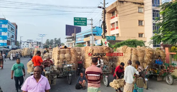 সোনালি আঁশে ফিরছে সুদিন