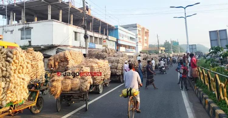 সোনালি আঁশে ফিরছে সুদিন