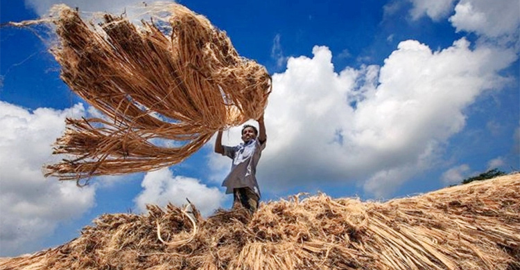 জাতীয় পাট দিবস আজ