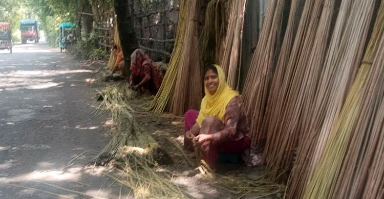 ব্যস্ত সময় কাটাচ্ছেন মানিকগঞ্জের পাট চাষিরা