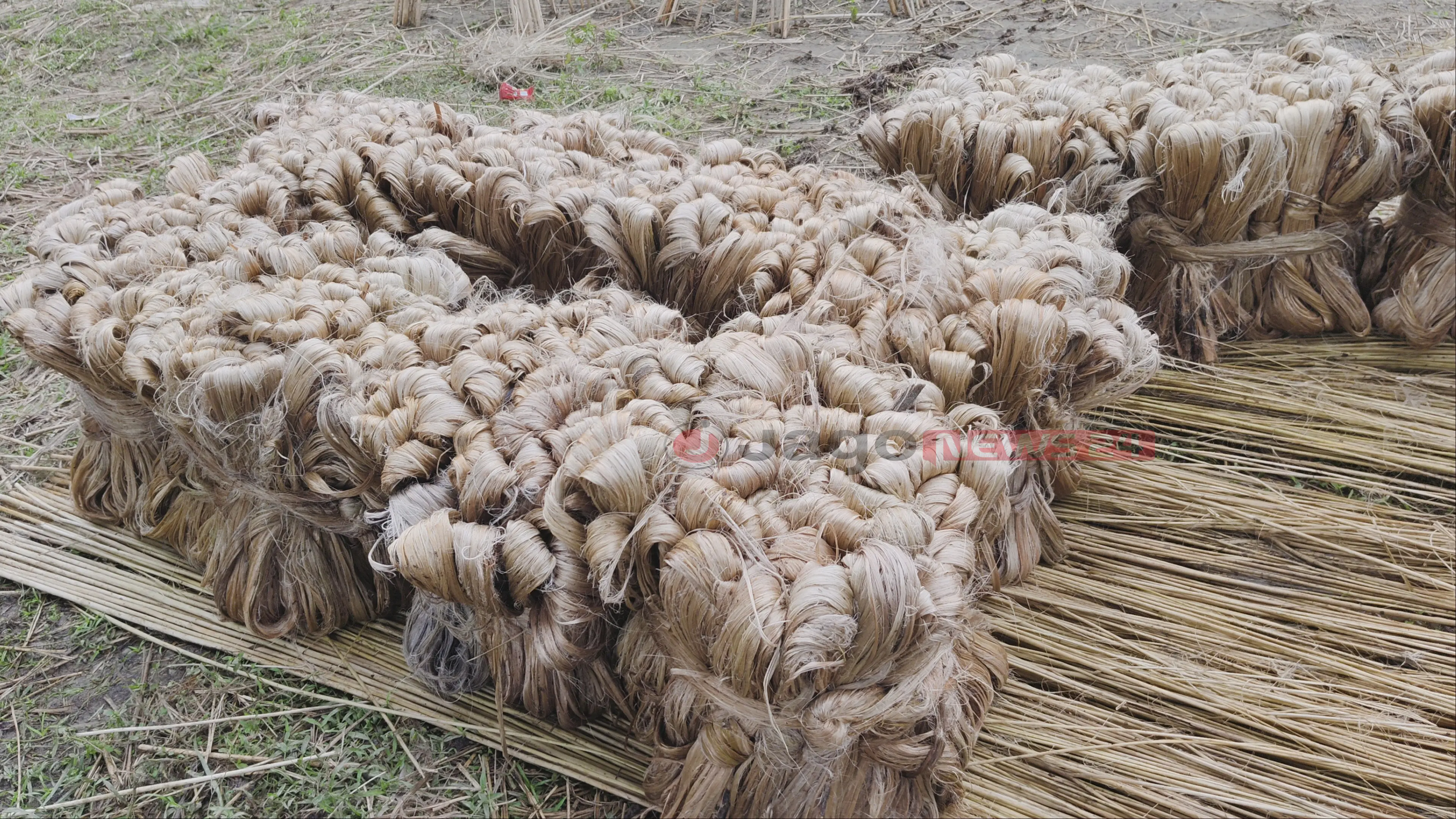 jute