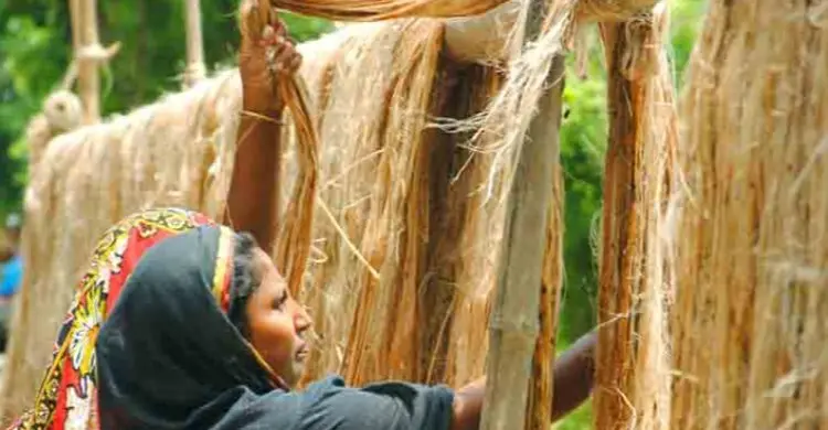 ফিরে আসুক সোনালি আঁশের দিনগুলো