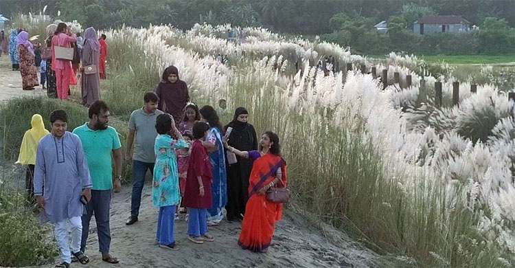 ব্রহ্মপুত্রের পাড়ে কাশফুলের রাজ্য