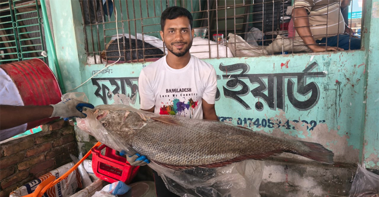 কলাপাড়ায় ধরা পড়লো সাড়ে ২১ কেজির কালো পোয়া