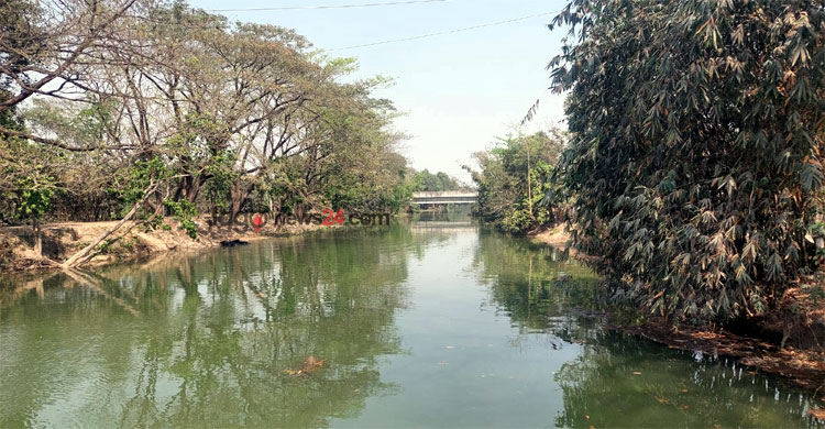 দুই জেলার ধানচাষিদের আশা জাগাচ্ছে জিকে সেচ প্রকল্প