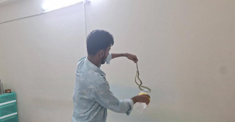 এসির ভেতর থেকে বেরিয়ে এলো কালনাগিনী