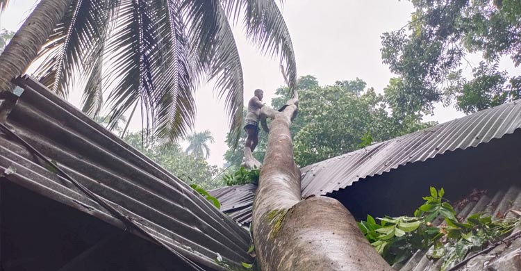 বরিশালে কালবৈশাখীর তাণ্ডবে বিদ্যুৎহীন ৫ উপজেলা
