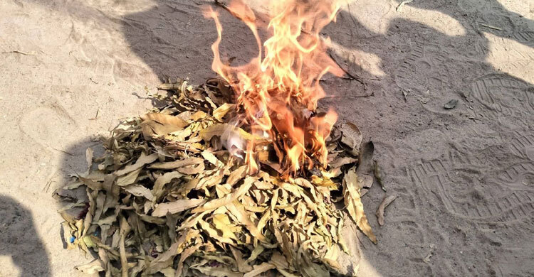 কালীগঞ্জে মাদক সেবন ও বিক্রির দায়ে ৪ জনের কারাদণ্ড