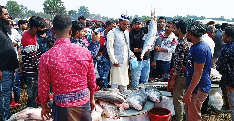 মেলায় জামাই-শ্বশুরের মাছ কেনার প্রতিযোগিতা