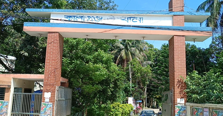 নানাবাড়িতে বেড়াতে গিয়ে লাশ হলো নাতি