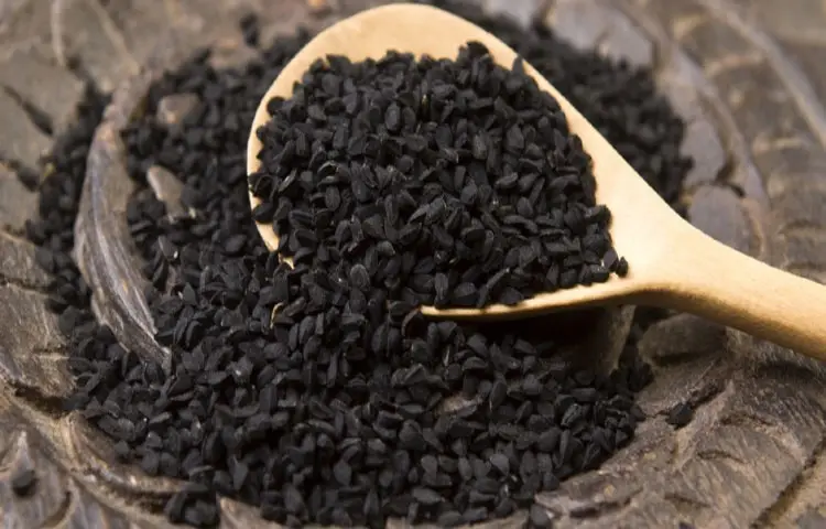 কালোজিরা