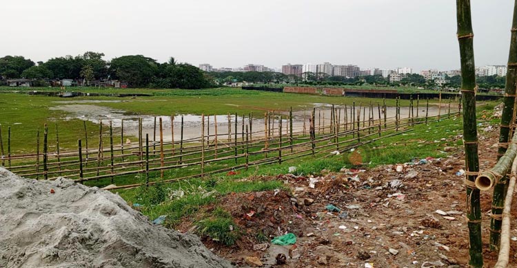 কালশী হাটে পশু কম, দাম চাড়া