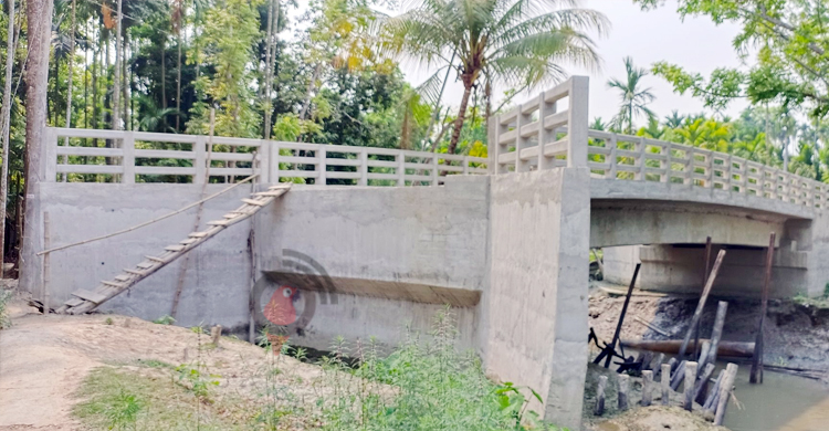 ১২ ফুট বাঁশের সিঁড়ি বেয়ে পার হতে হয় দু&rsquo;কোটি টাকার সেতু