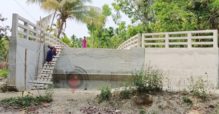 ১২ ফুট বাঁশের সিঁড়ি বেয়ে পার হতে হয় দুই কোটি টাকার সেতু