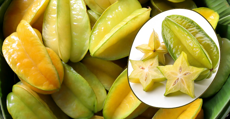 খনিজের ভান্ডার পাবেন কামরাঙাতে