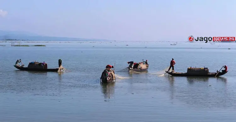 কাপ্তাই হ্রদের মাছে মাইক্রোপ্লাস্টিক, সবচেয়ে বেশি ট্যাংরায়