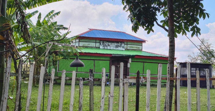 স্নিগ্ধ সকালে বেড়িবাঁধের কাশবনে