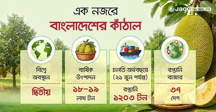 আঠার ফাঁদে আটকা কাঁঠালের সম্ভাবনা