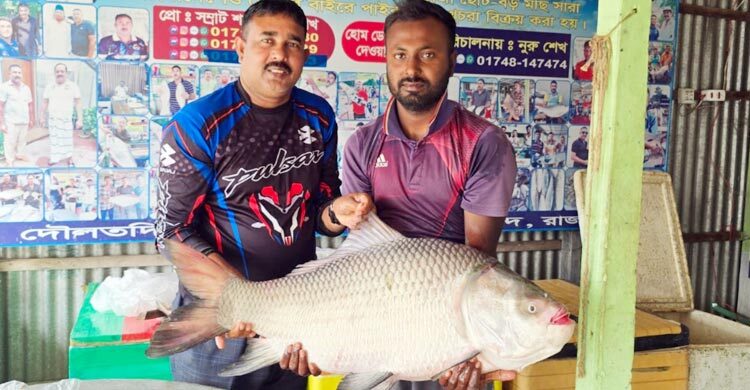 দৌলত‌দিয়ায় সা‌ড়ে ১৬ কে‌জির কাত‌ল ৩৮ হাজারে বি‌ক্রি