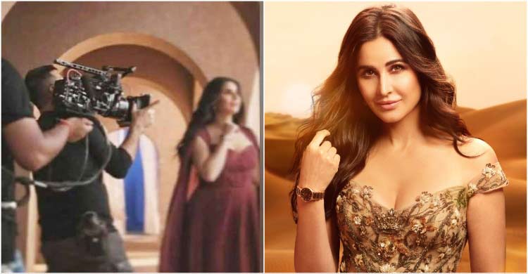 মা হচ্ছেন ক্যাটরিনা কাইফ, প্রকাশ্যে মিললো প্রমাণ