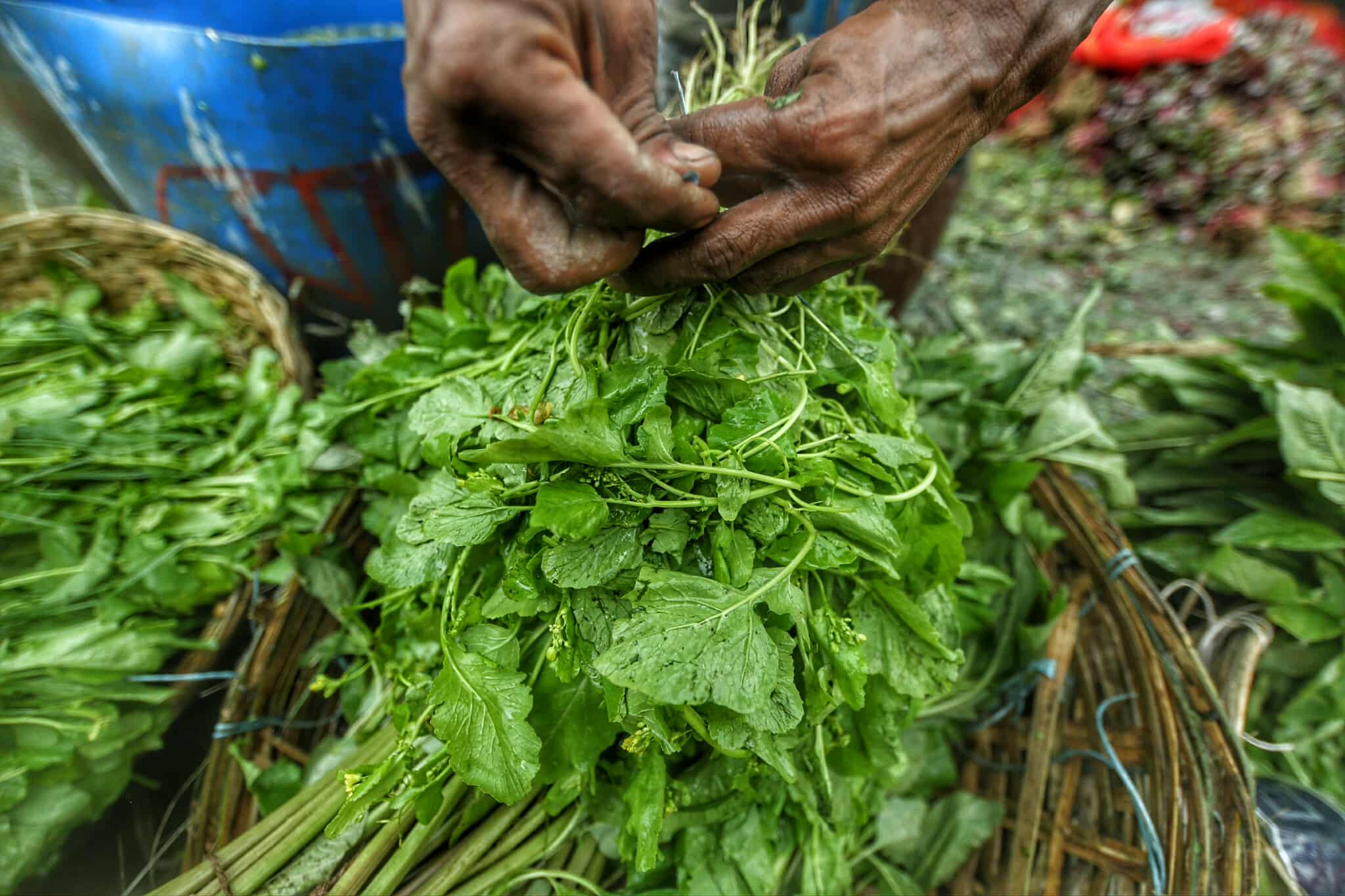 শীতের আগেই রাজধানীর বাজারে নেমেছে শীতের রঙ