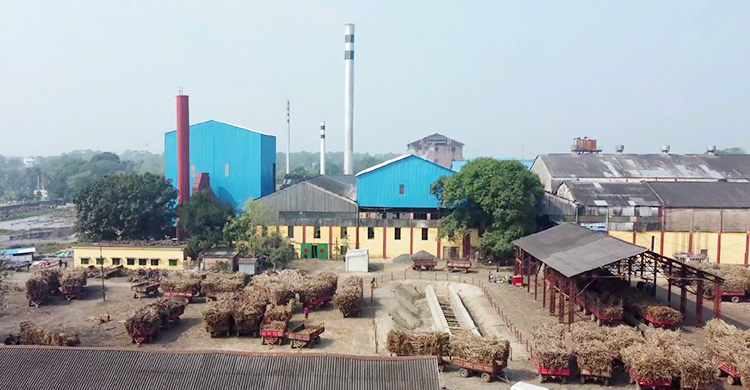 কেরু চিনিকলে মুনাফায় রেকর্ড, চিনিতে লোকসান