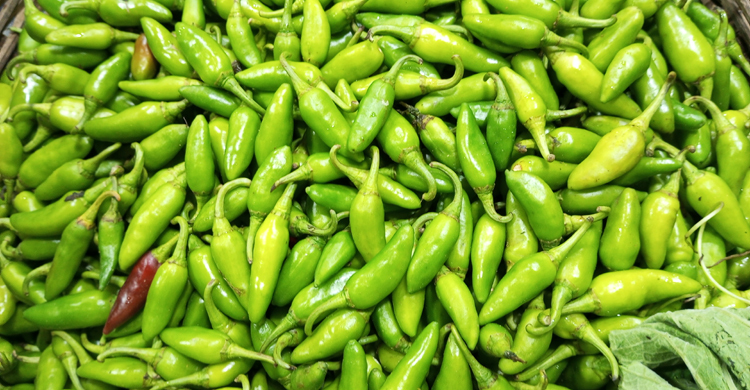 ‘কাঁচা মরিচের কমতি নেই, তবু দাম বাড়ছে কেন জানে না কেউ’