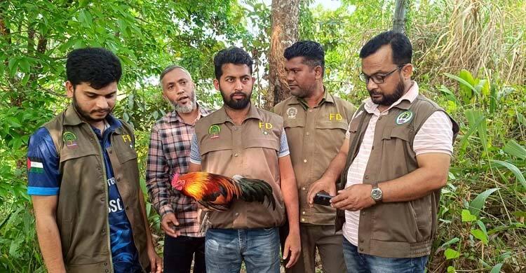 বিক্রির উদ্দেশ্যে আনা বনমোরগ বাজার থেকে উদ্ধার