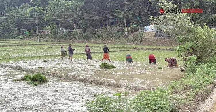 বন্যায় খাগড়াছড়িতে ক্ষতিগ্রস্ত ৮ হাজার কৃষক, ক্ষতি ১২ কোটি টাকা